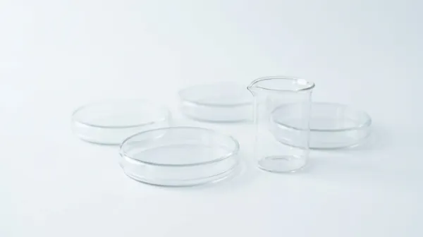 Three empty glass petri dishes and a small glass beaker on a plain white surface in soft light